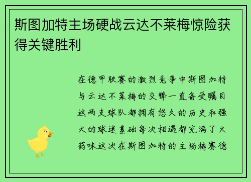 斯图加特主场硬战云达不莱梅惊险获得关键胜利